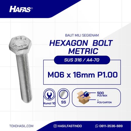 STAINLESS STEEL BOLT MM SUS 316 FULL THREAD DIN 933 M06 X 16MM P1.00