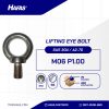 LIFTING EYE BOLT STAINLESS STEEL SUS 304 M06 P1.00