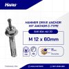 HIT ANCHOR STAINLESS STEEL A2 SUS 304 C-TYPE M12 x 60mm