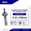 HIT ANCHOR STAINLESS STEEL A2 SUS 304 C-TYPE M12 x 100mm