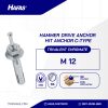 HIT ANCHOR M12X120 KNGH-DR