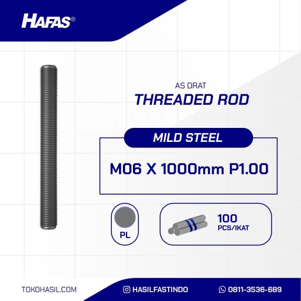 ASDRAT RAW M06 X 1000mm P1.00