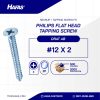 Tapping Screw FH+ UCP White #12 X 2