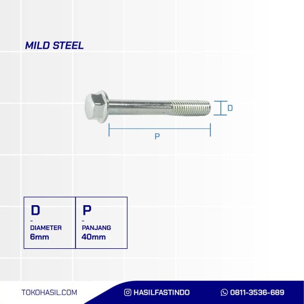 FLANGE BOLT UCP WHITE M 6 X 40 P1.00