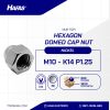 M10 NICKEL CAP SCREW - K14 P1.25