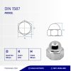 M10 NICKEL CAP SCREW - K14 P1.25