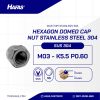MUR CAP STAINLESS SUS 304 M03 - K5.5 P0.60