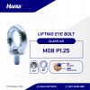 LIFTING EYE BOLT UCP WHITE M08 P1.25