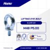 LIFTING EYE BOLT UCP WHITE M48 P5.00