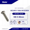 BOLT L STAR KEY STAINLESS SUS 304 RAW M6 X 40mm