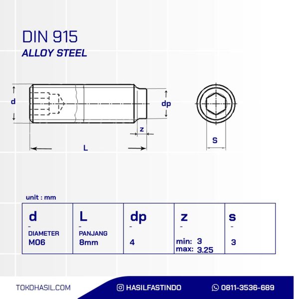 BOLT L DOG POINT PLANT STEEL 10.9 M06x8mm P1.00 BLACK BURNED
