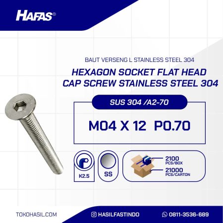 STAINLESS STEEL BOLT SUS 304 MM FULL THREAD M04 X 12mm P0.70