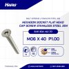STAINLESS STEEL BOLT SUS 304 MM FULL THREAD M06 X 40mm P1.00