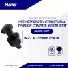 BOLT NUT TC (TORQUE CONTROL) BLACK BURNED M27 X 135MM P3.00